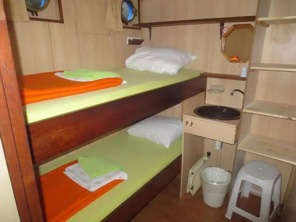 Botel Zebra - photo 1