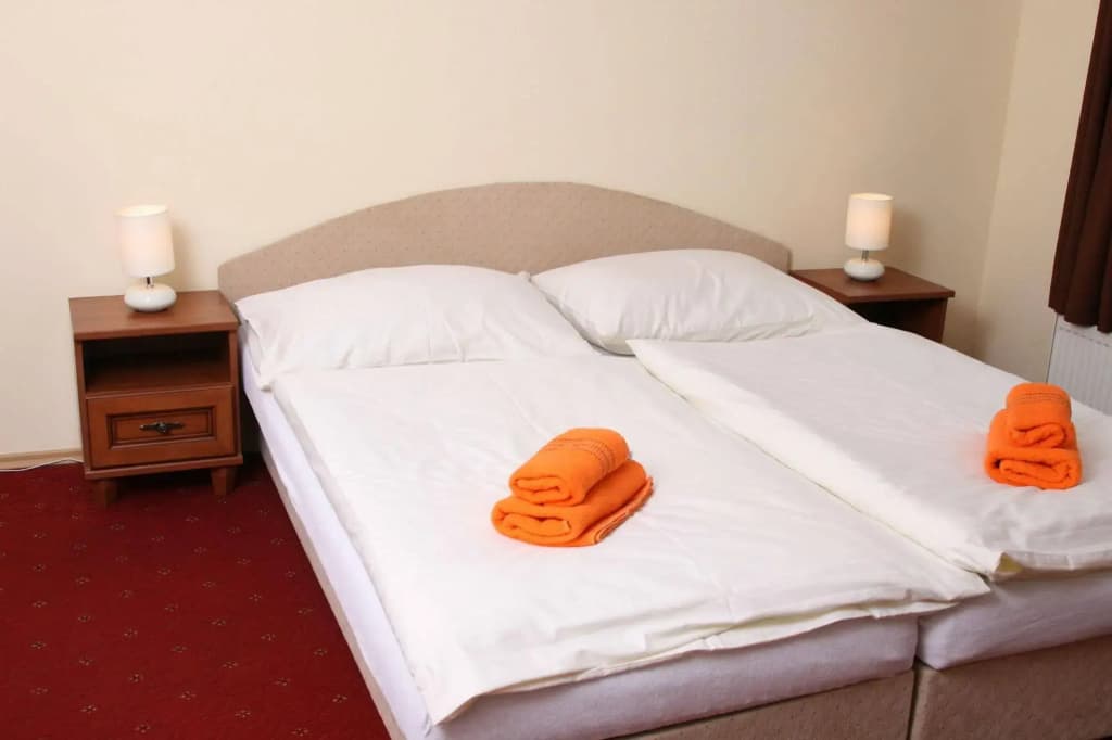 Hotel Aaron - photo 6