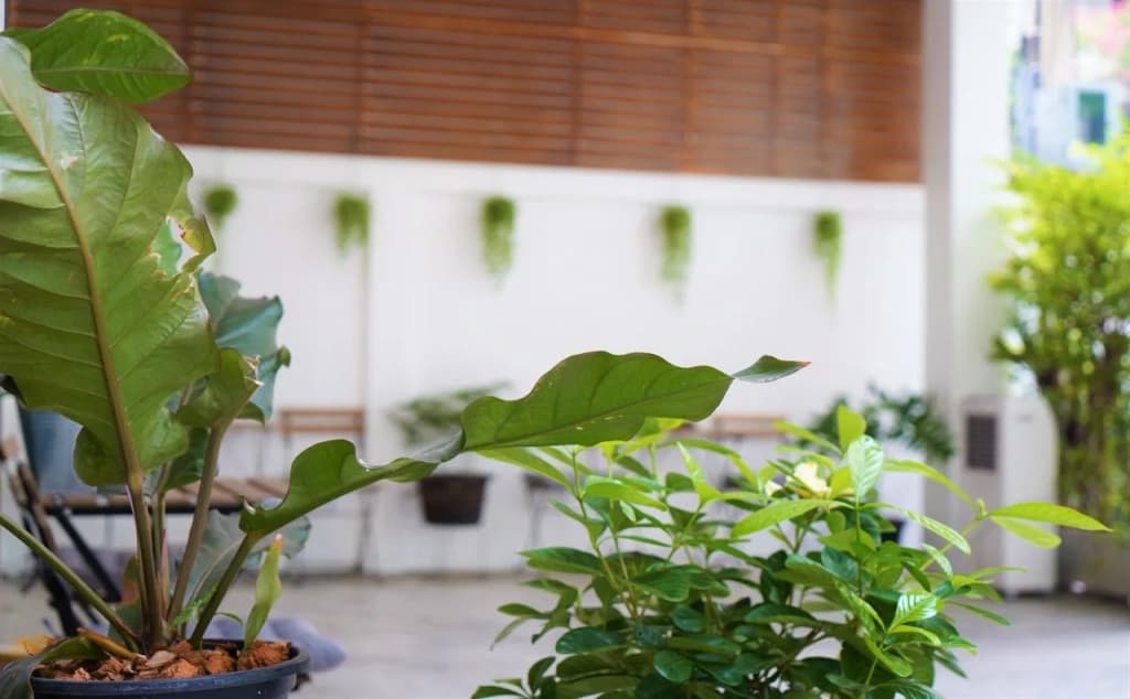Silom Studios - photo 11