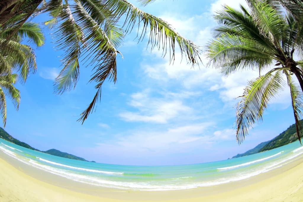 Sun Shine Patong - photo 18