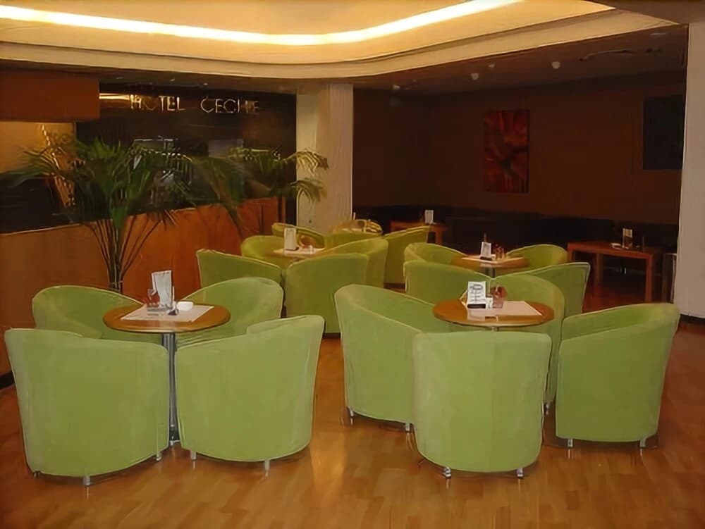 Hotel Cechie Praha - photo 27