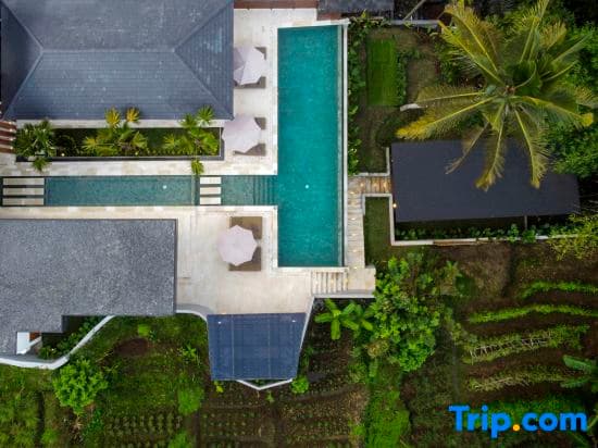 Villa Serenity by BaliSuperHost - photo 1