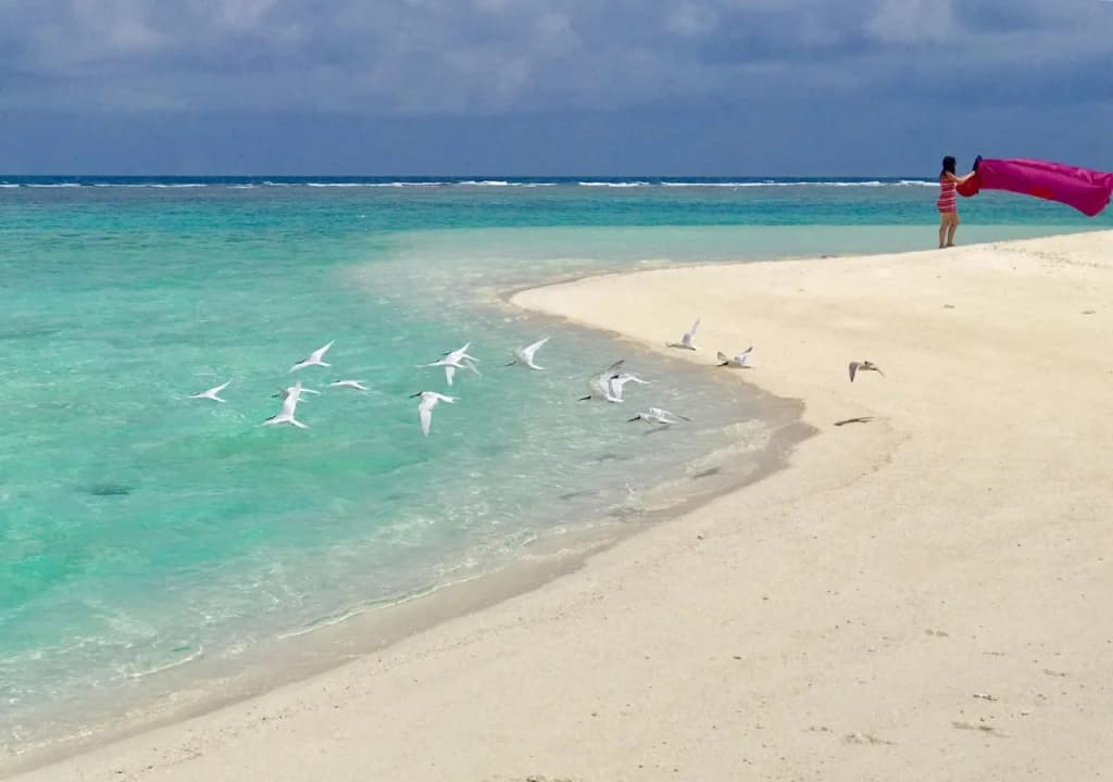 Beach Veli - photo 12