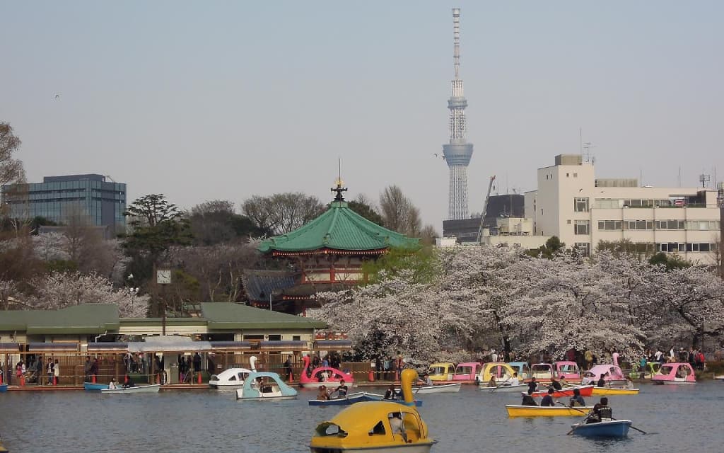 Sakura Sky Hotel - photo 18