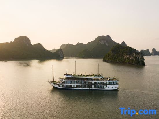 La Casta Cruise - photo 15