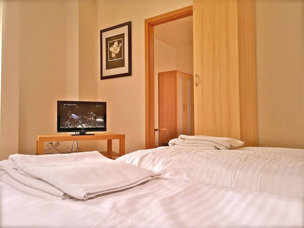 Residence Pinkas Prague - photo 2