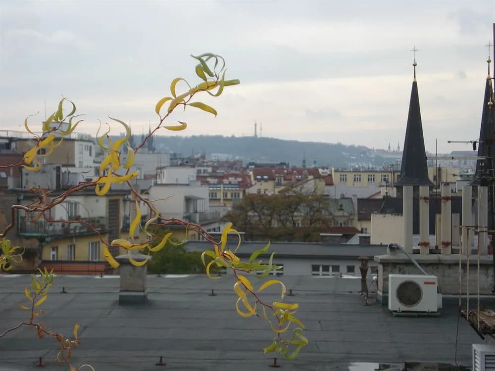Hotel Planet Prague - photo 11