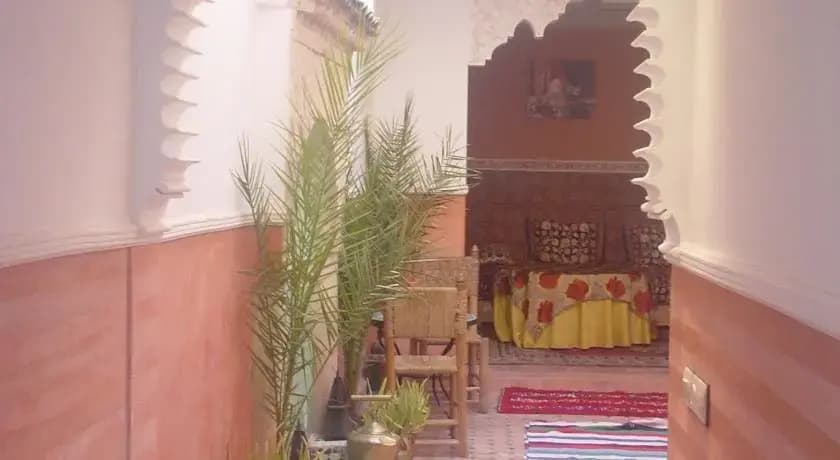Riad Slima - photo 1