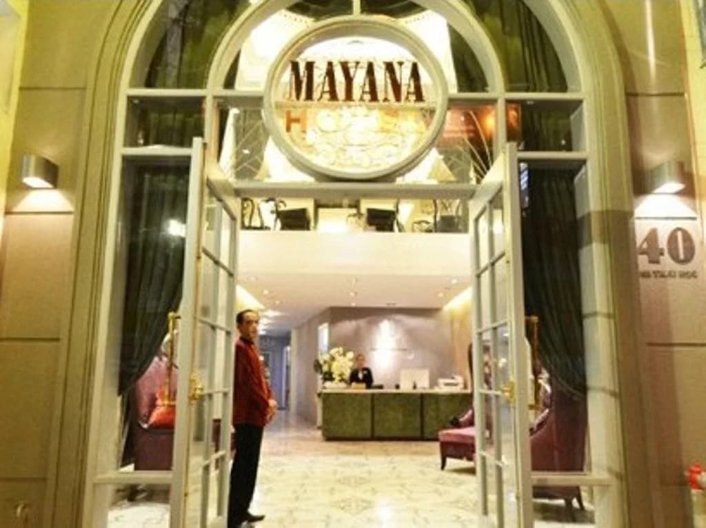 Mayana Hotel - photo 2