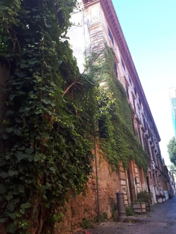Riari 59 Rome Trastevere - Rome Vacation M&D - photo 27