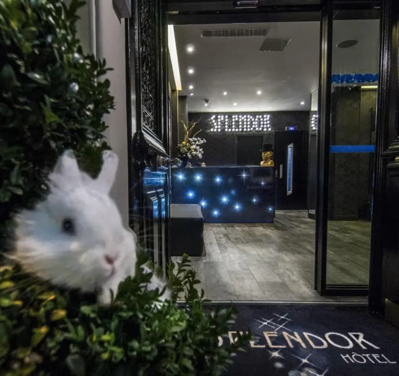 Hotel Splendor Elysees - photo 1