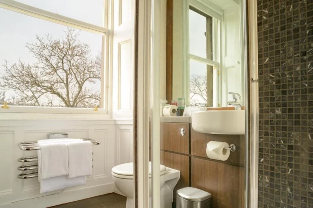 Black Ivy Hotel - photo 7