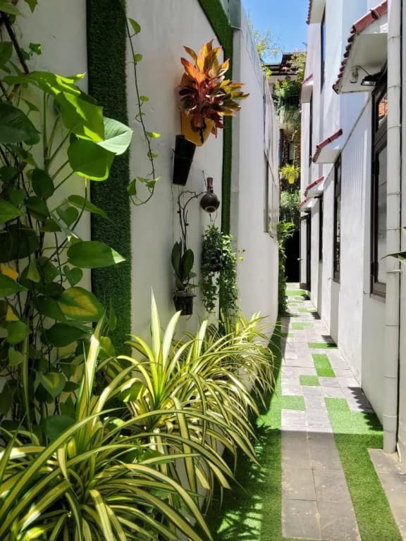 Bean Grass Homestay - photo 12