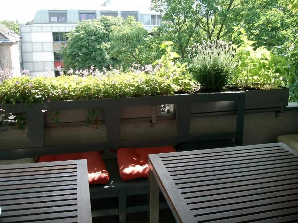Wiener Kindl - photo 13