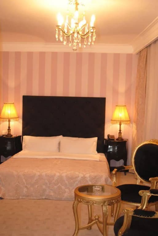 Hotel Vere Palace - photo 5