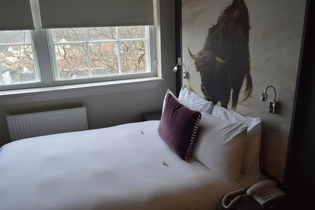 B+B Edinburgh - photo 6