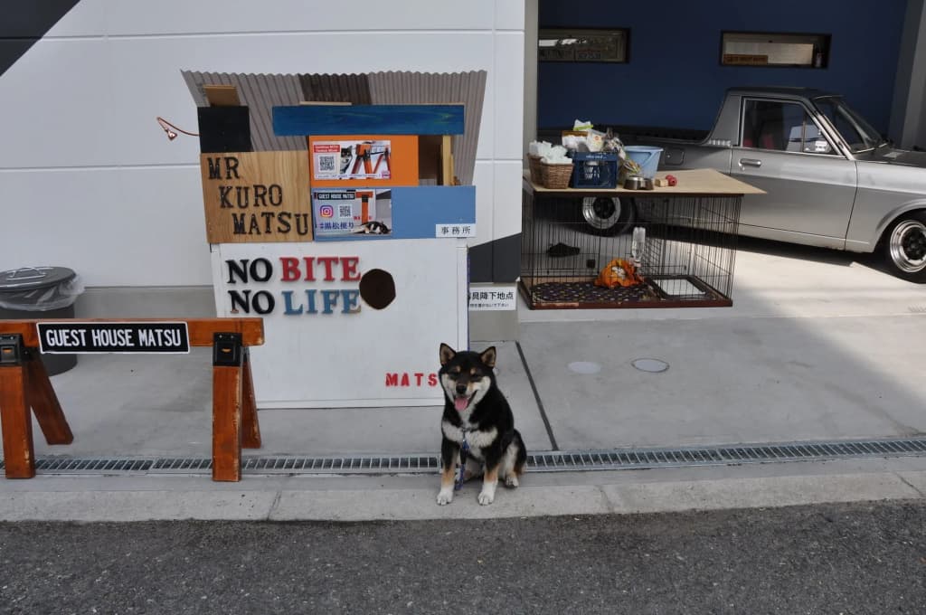Guest House Matsu - Hostel - photo 26