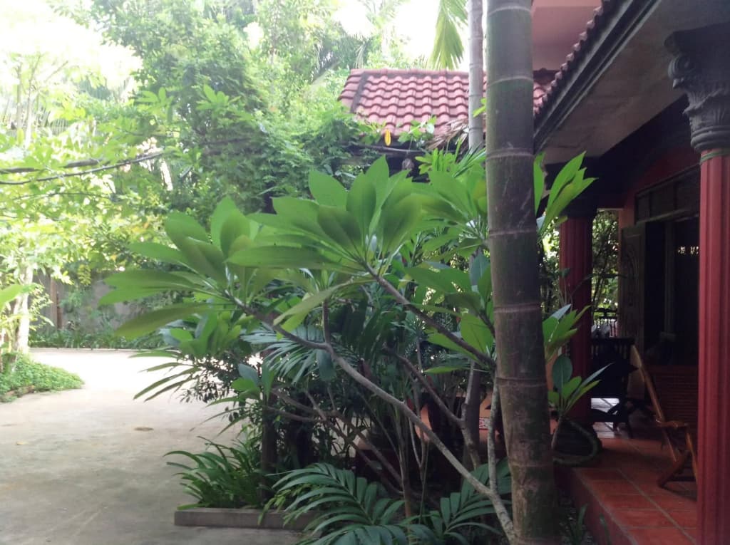 Alliance Villa - photo 15