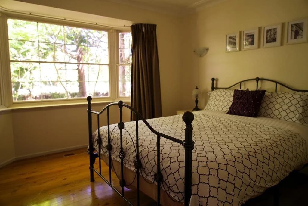 Leura Camellias - main photo
