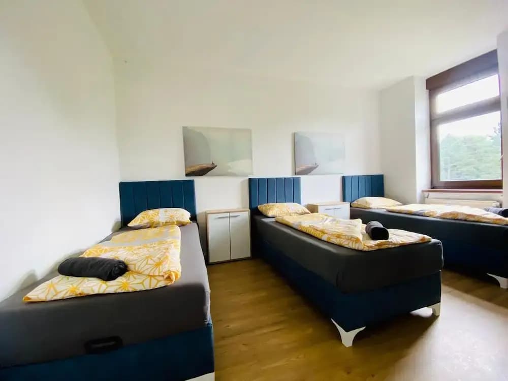 Spacious 4BR for 15 & 15 Min to Danube - photo 11