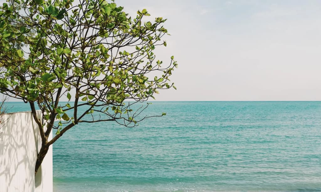 Kimpton Kitalay Samui by IHG - photo 25