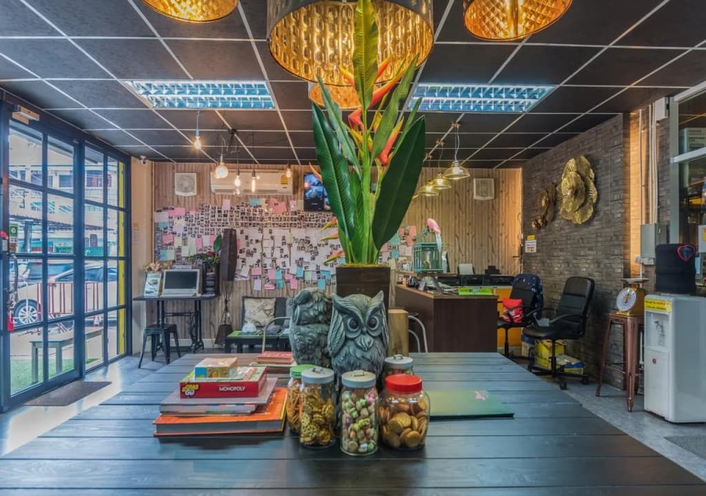 Tiger Lily Hostel - photo 15
