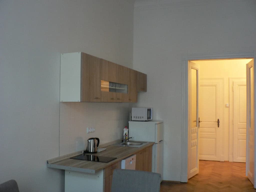 Apartments 39 Wenceslas Square - photo 14