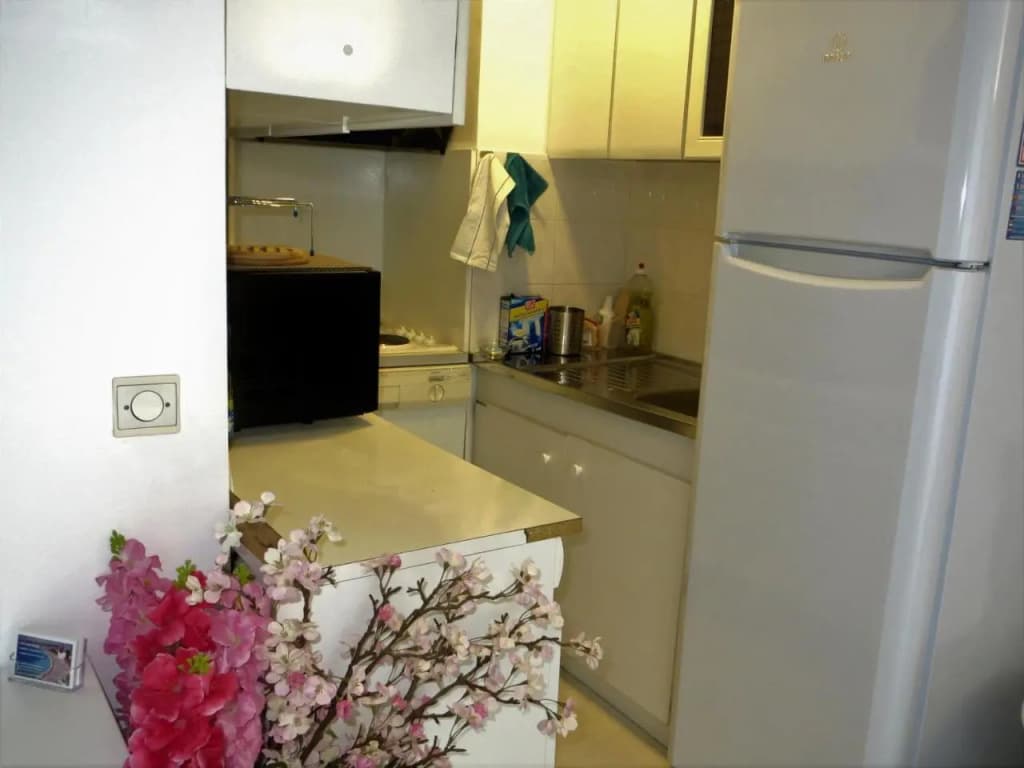212 C Avenue de la Californie - photo 3