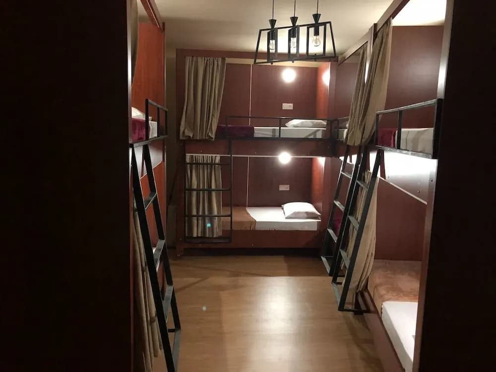 Ms Jackson Guesthouse Hostel - photo 8