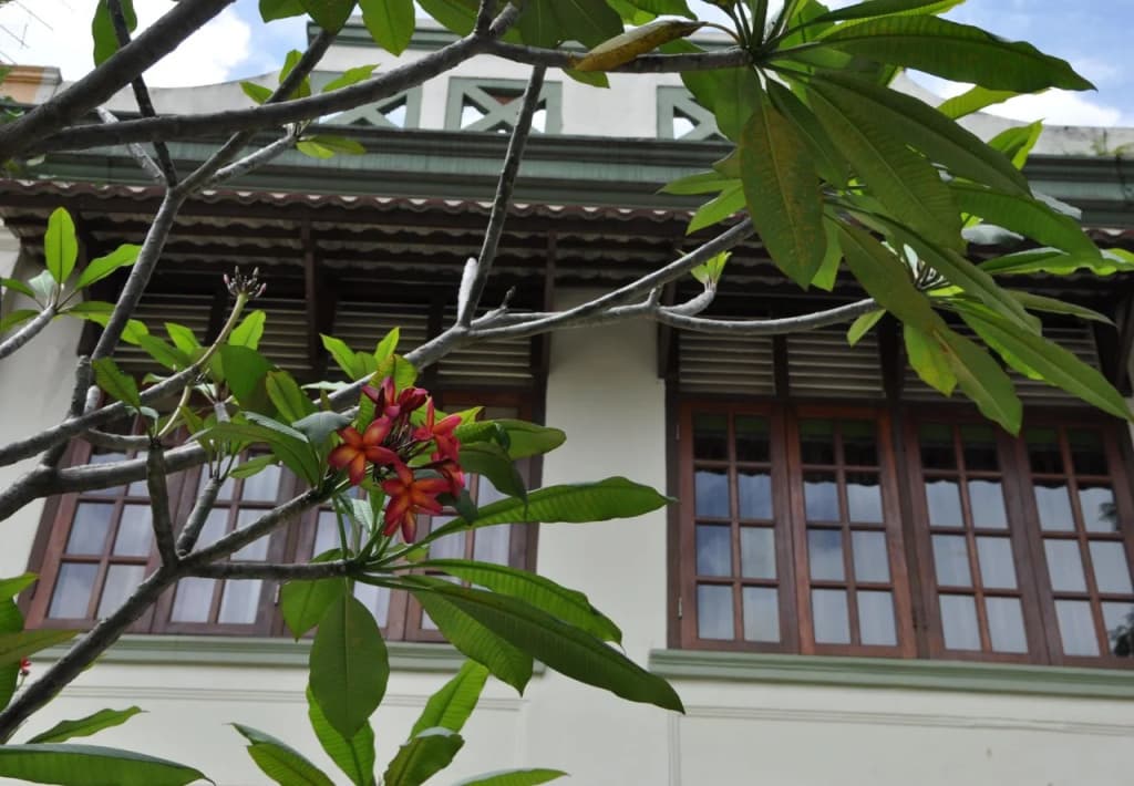 Sarang Vacation Homes - photo 4