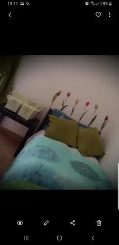 Holiday Home Il Sogno A San Pietro - photo 7