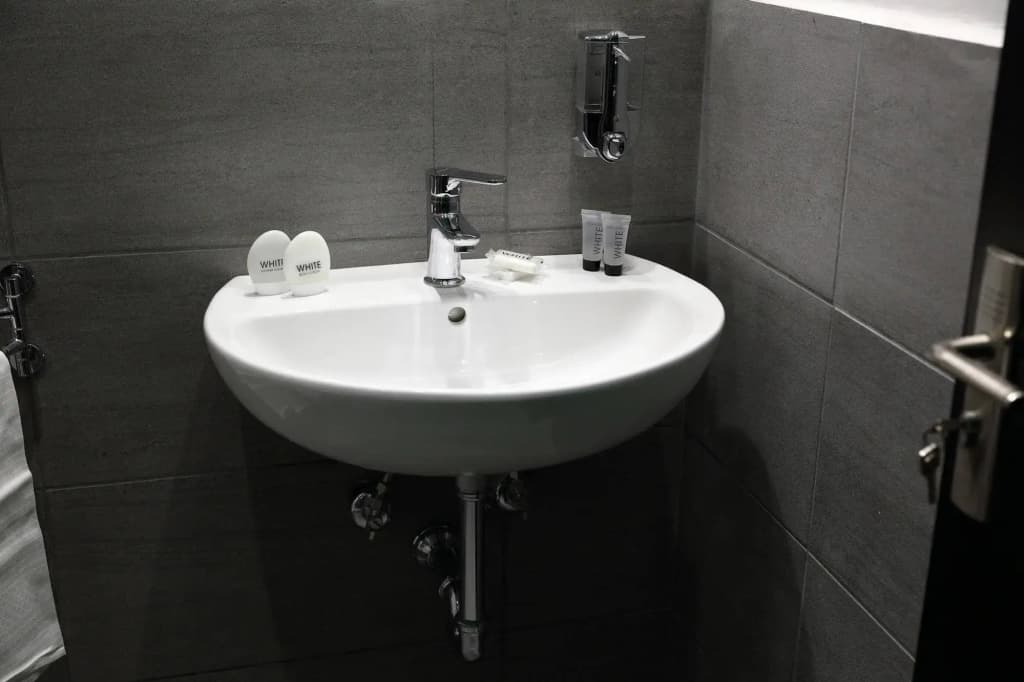 Mirko Luxury Inn - photo 9