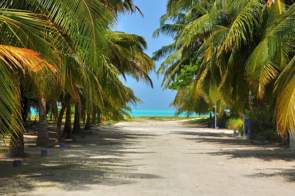 Beach Home Kelaa - photo 14