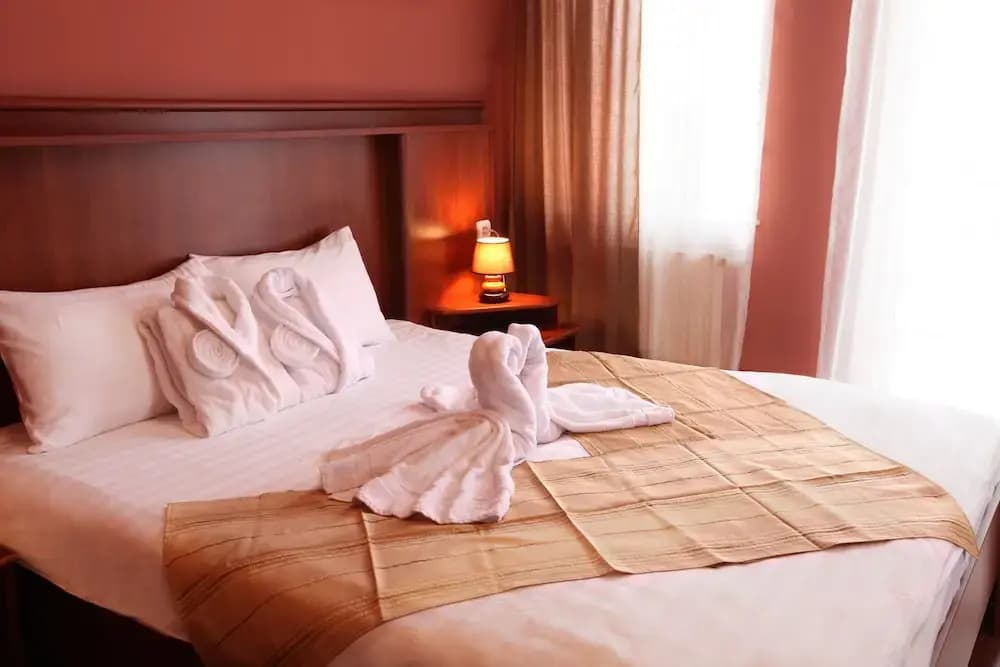 Aristocrat Hotel - photo 4