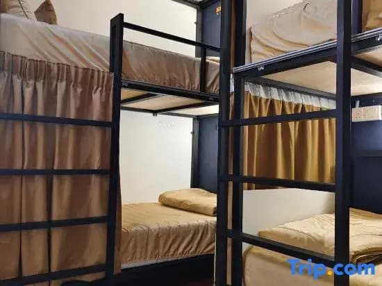 Mr Backpacker Hostel - photo 4