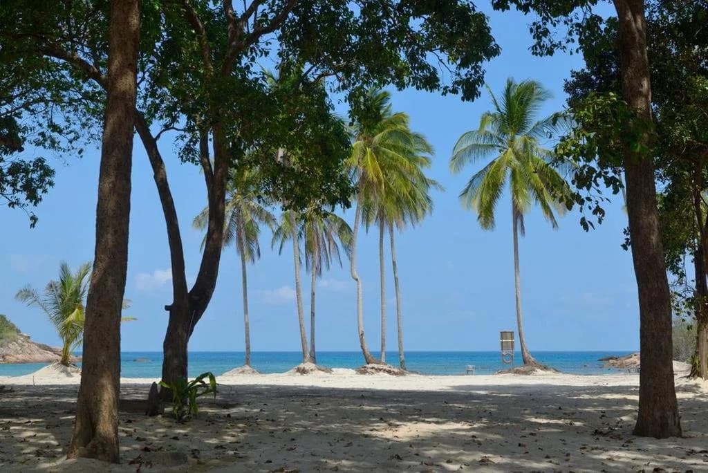 Delima Redang Resort - photo 13