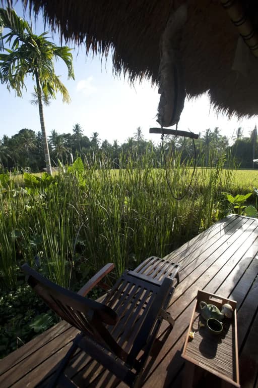 Ubud Hidden Villa - photo 14