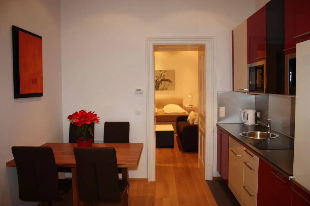 GoVienna Opera Apartment - photo 11