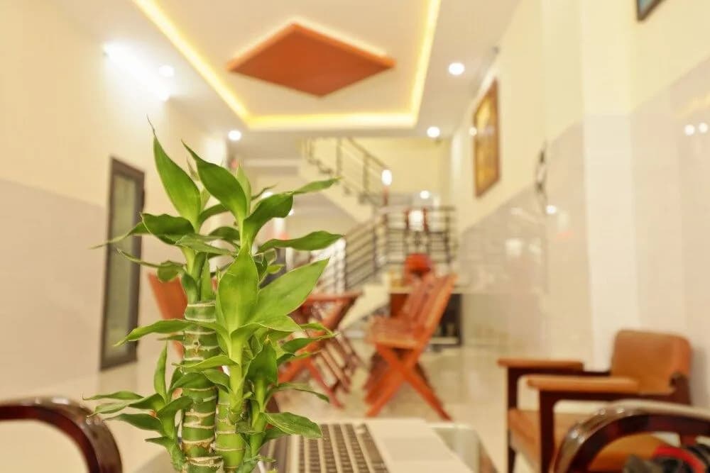 Gold Stone Homestay Hoi An - photo 11
