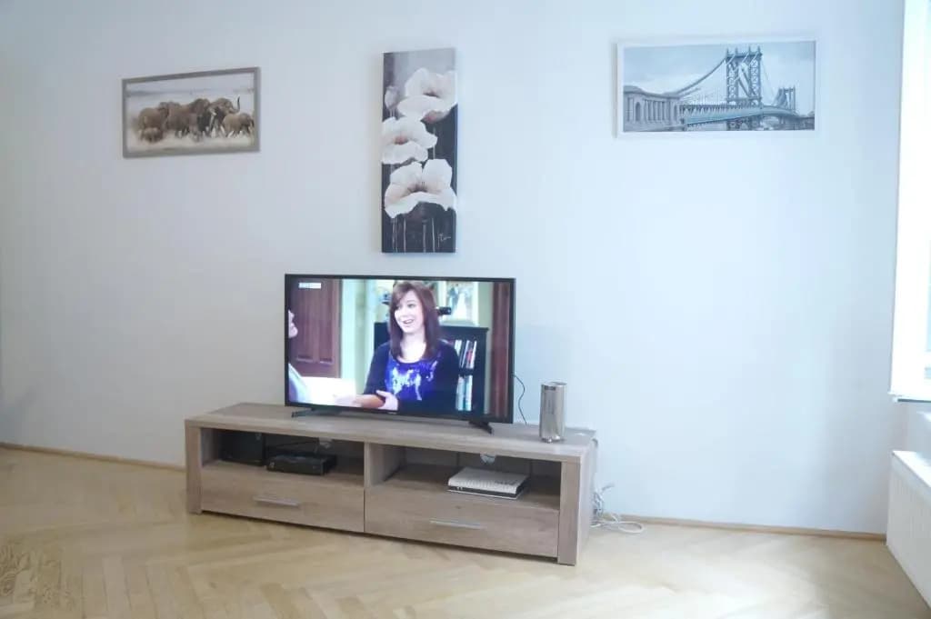 Apartment Vienna - photo 3