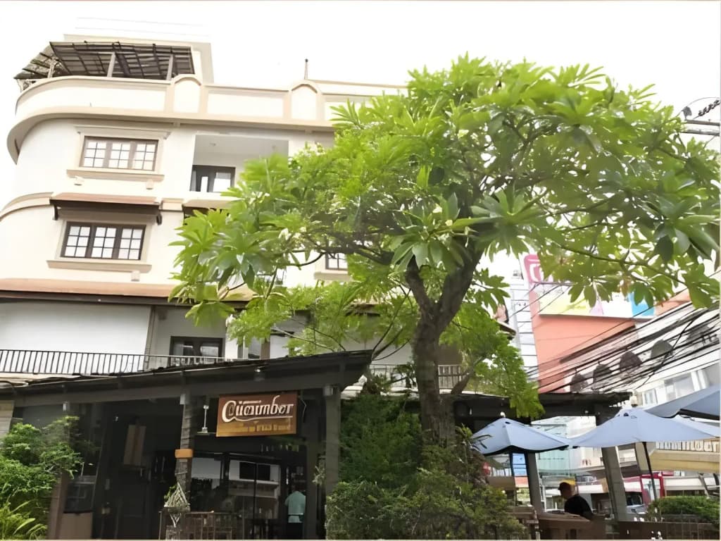 Cucumber Inn - photo 1