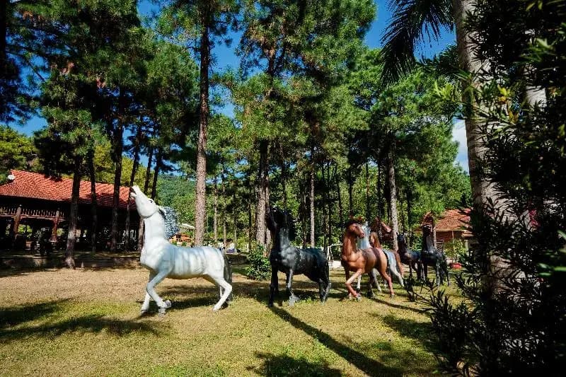 Bai Tu Long Mountain Resort - photo 7