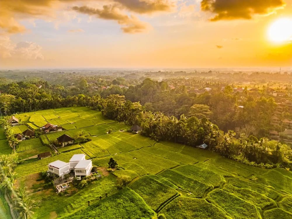Maple Ridge Ubud Villas - photo 26