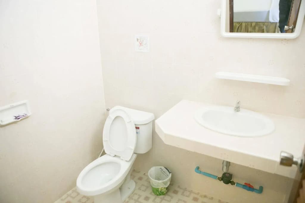 G&B Guesthouse - photo 10