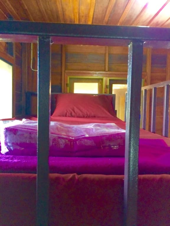 Baohostel - photo 3