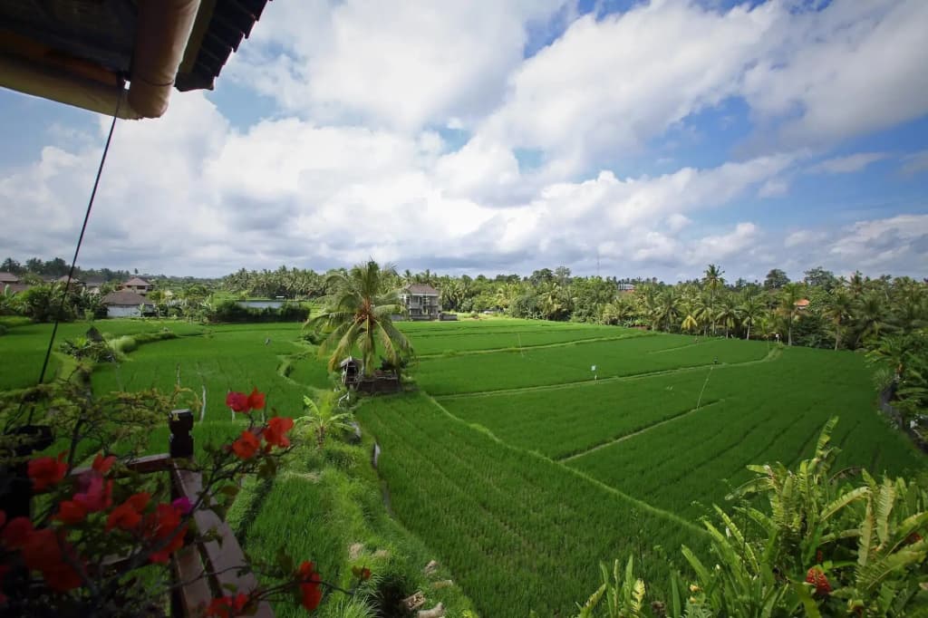 Satori Villas Bali - photo 45