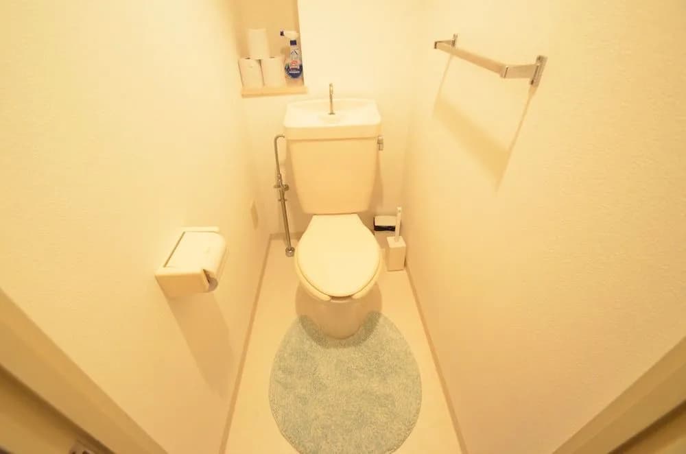 Color Shimanouchi - photo 8