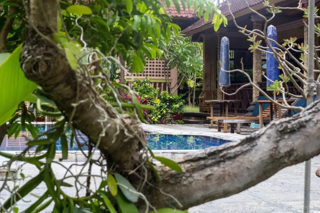 Lusa Hotel - photo 15