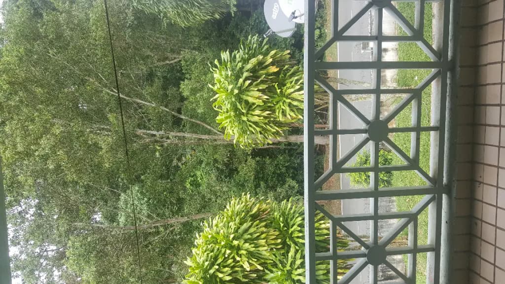 Selesa Resort - photo 2