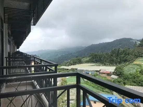 Nova Highlands Resort & Residence - photo 17